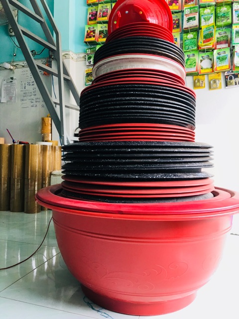 Chậu nhựa giả đá - Chậu Trồng Sen, Loại Tốt - Stone-crushed plastic basin - Lotus Planting Plant  (size: 60-70-80cm)