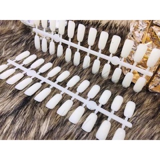 Móng bẻ cài sổ móng 120 móng