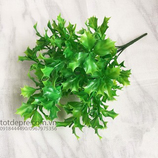 Cây đinh lăng xanh - Cây Giả Cao Cấp