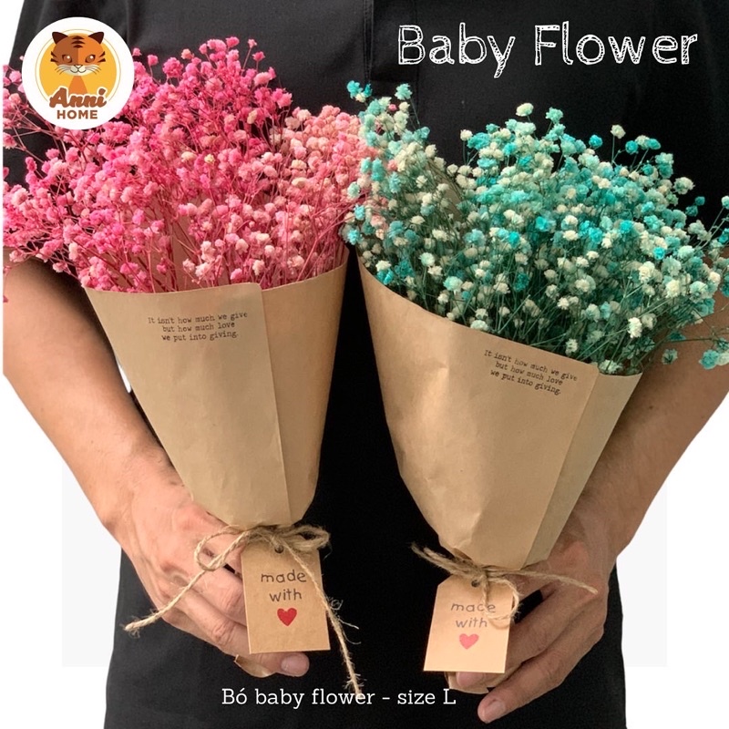 Hoa khô Baby nhiều màu bó size lớn dùng làm quà tặng, trang trí Anni Home