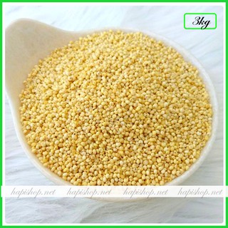 Hạt Kê Nếp Vàng Nghệ An - Sỉ 3kg