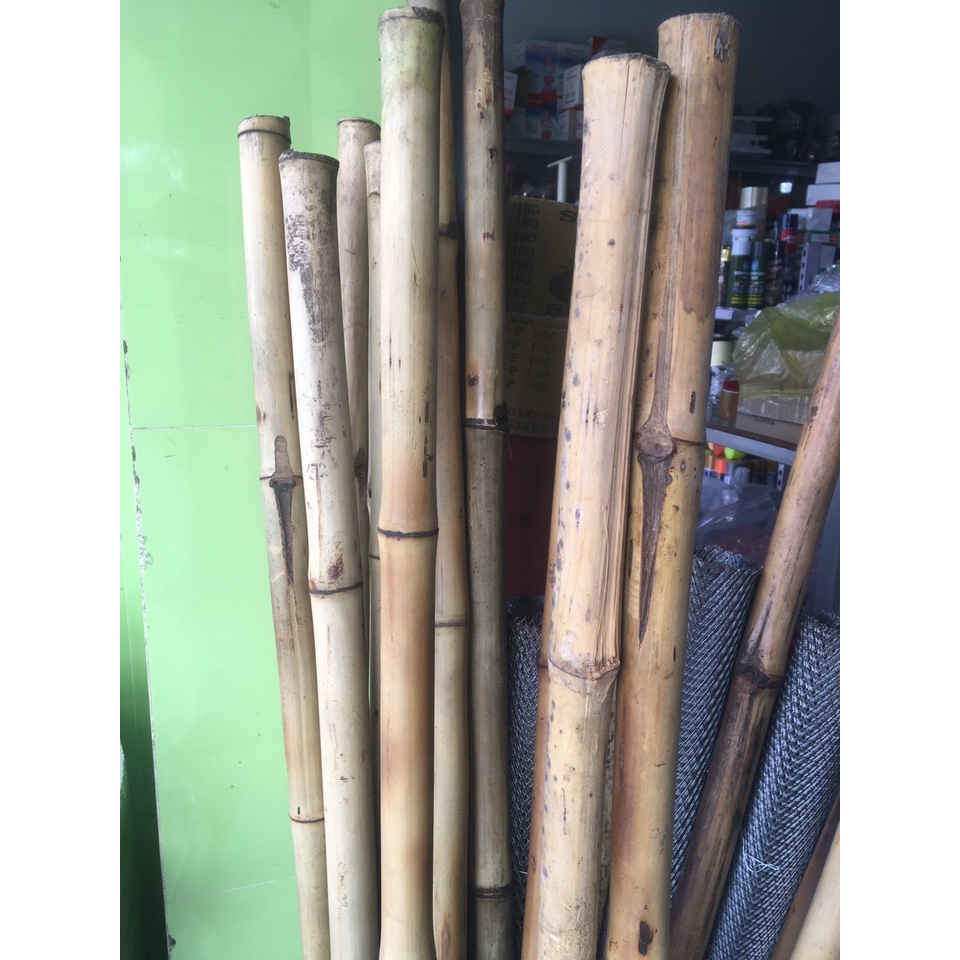 Cán tre, cán cuốc, cán giá, cán xẻng
