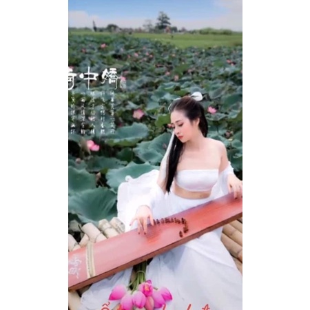 Đạo cụ đàn chụp sen  đàn mô phỏng tỳ bà, đàn nguyệt- đàn tranh