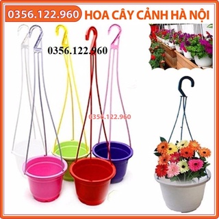 Bộ 10 chậu nhựa treo đủ màu hình tròn