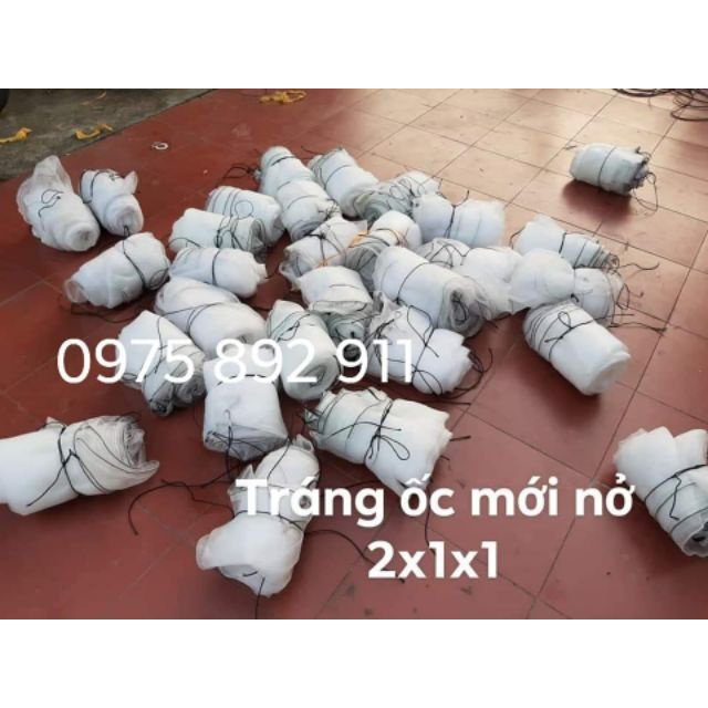 Tráng ,lồng , vèo nuôi ốc nhồi - loại mới nở đến hạt lạc sản phẩm tốt 121