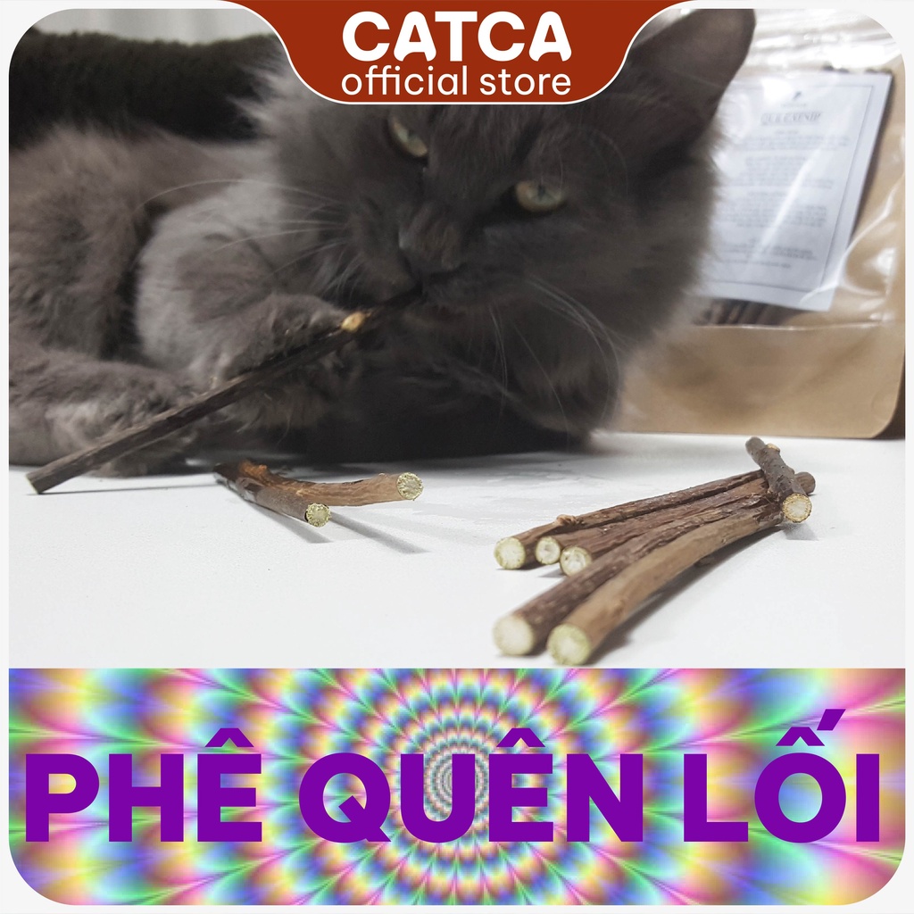 Combo 3-5 que catnip phê pha cho mèo - Catca