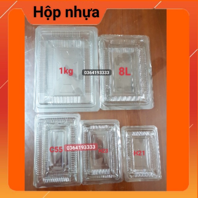 Hộp nhựa dùng 1 lần 100 cái nhiều size