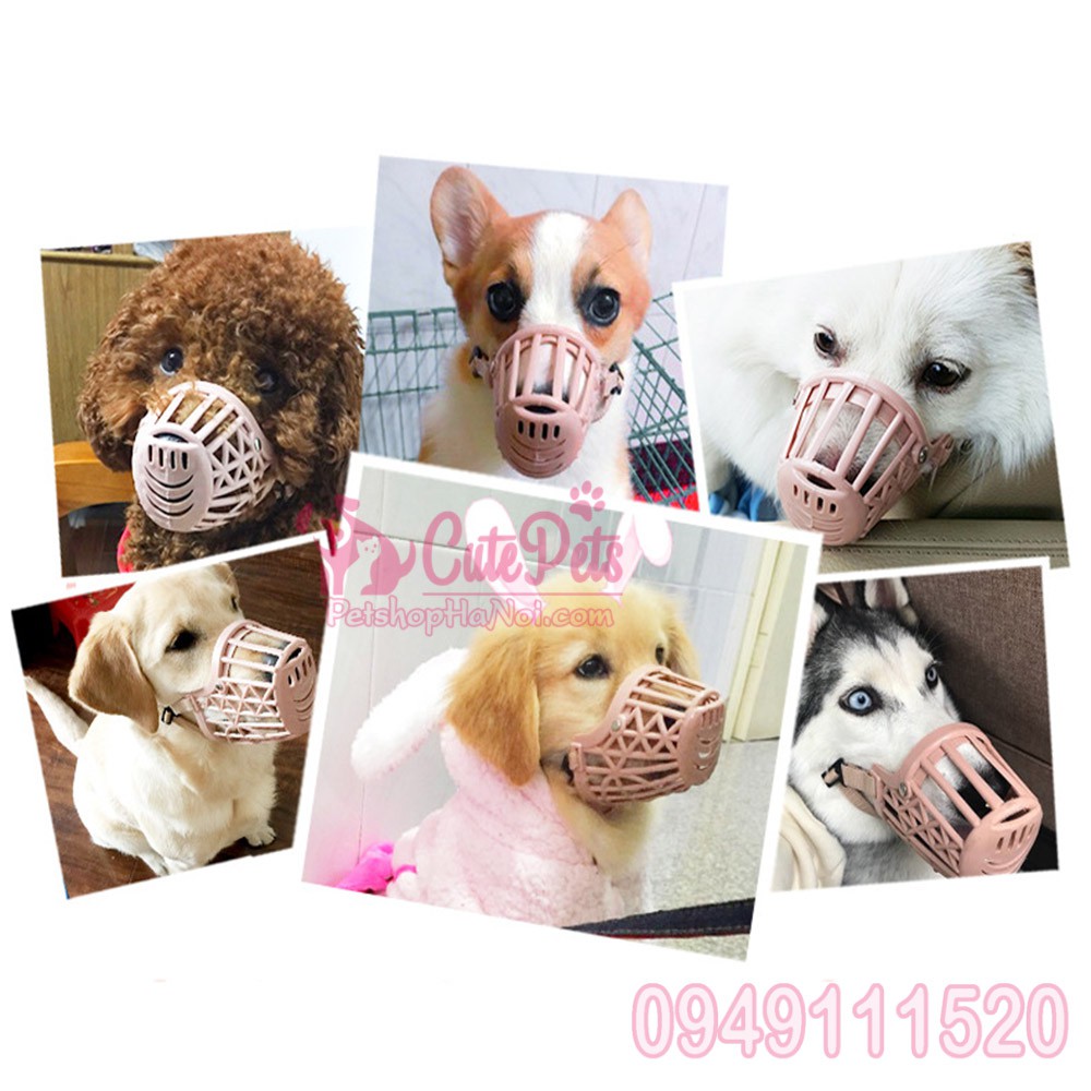 Rọ Mõm nhựa cho chó 7 size - CutePets Phụ kiện chó mèo Pet shop Hà Nội