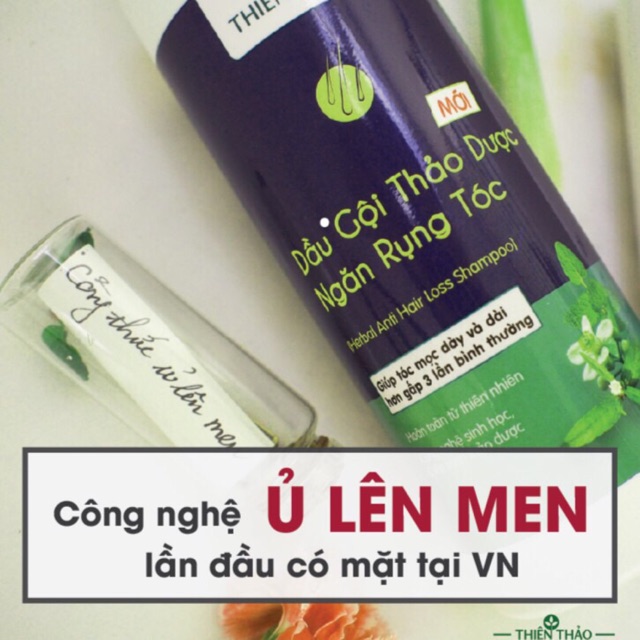 Dầu gội thiên thảo