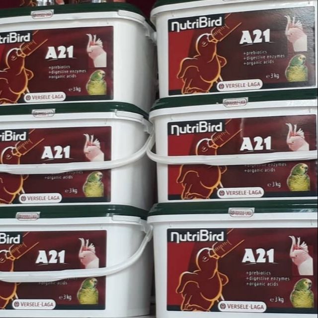 Bột Thức Ăn Chim Vẹt NutriBird A21 (40K/100g)
