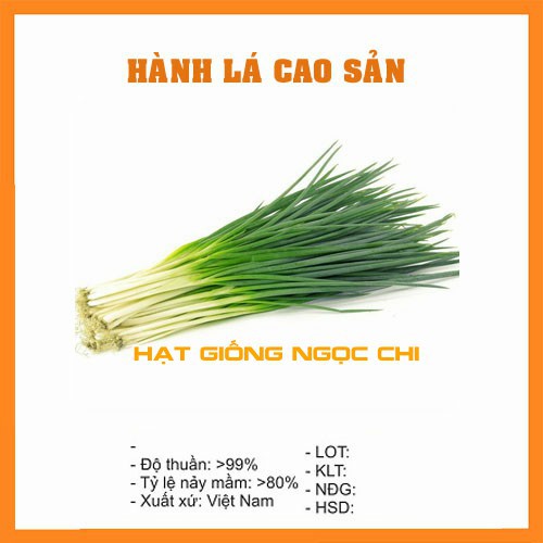 Hạt Giống Hành Hoa - Hành Lá Cao Sản - 2Gr