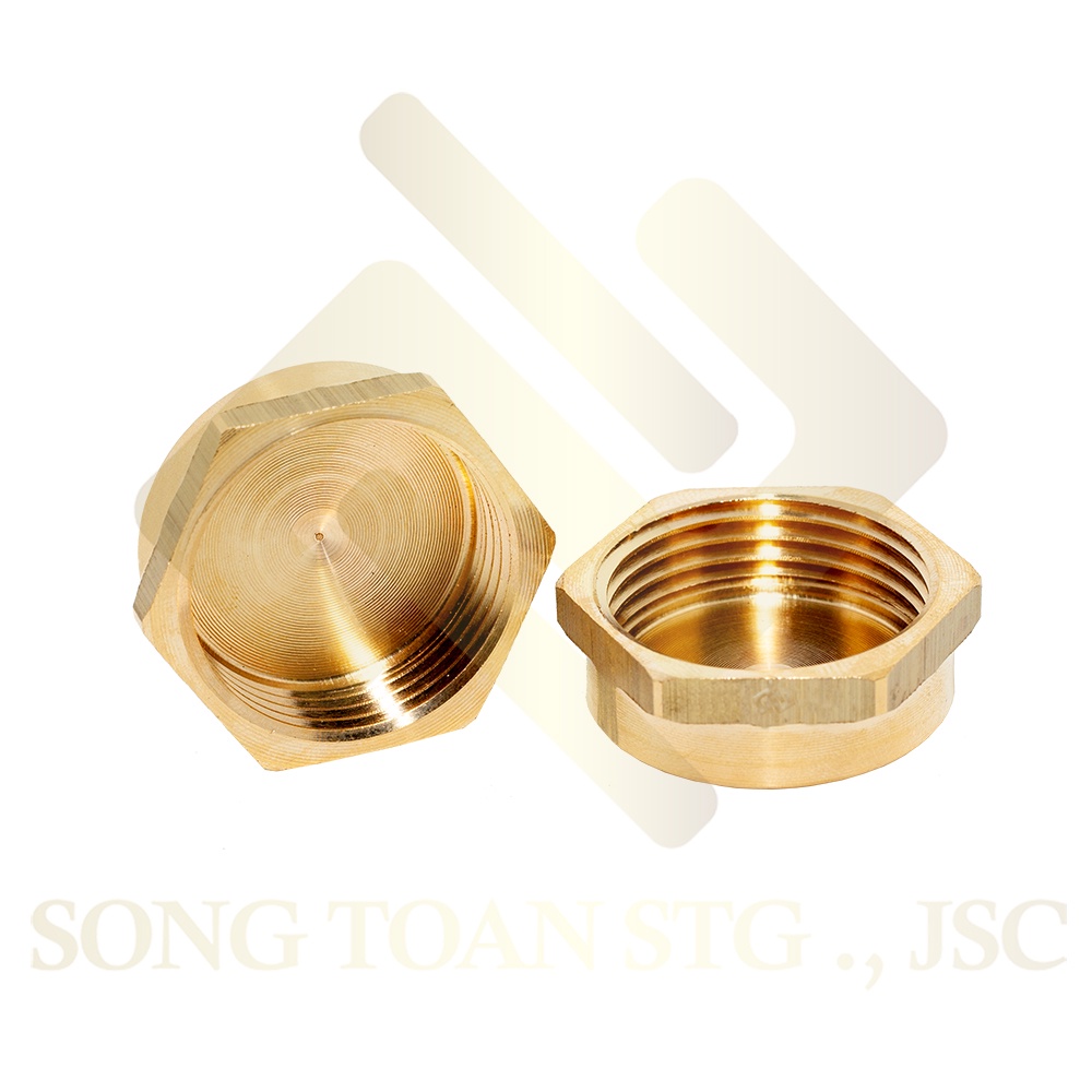 [BỊT REN TRONG] Nút đầu bịt ren trong ngặn chặn dòng chảy &amp; khí nén ren BSP - Bằng đồng (Brass pipe plug cap female)