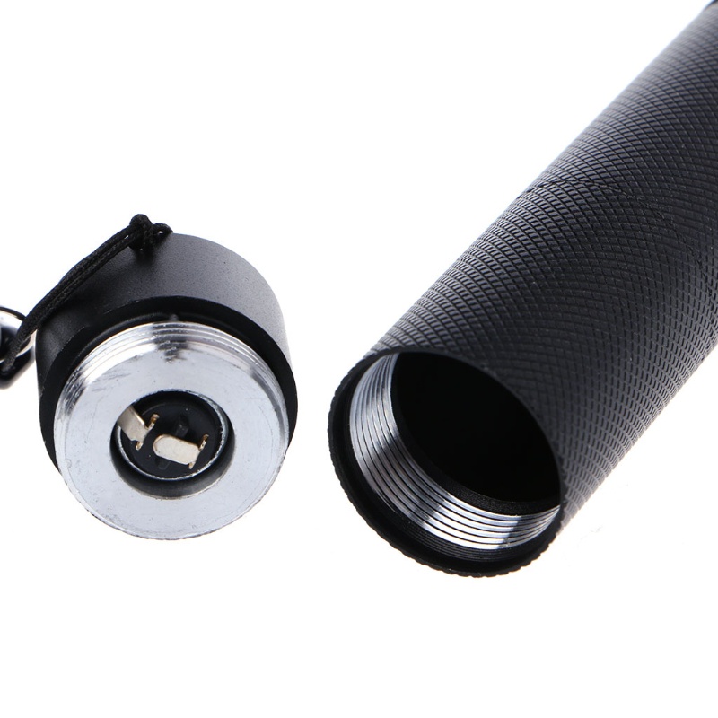 Bút laze chỉ đầu xanh dương 405nm 5mW 301