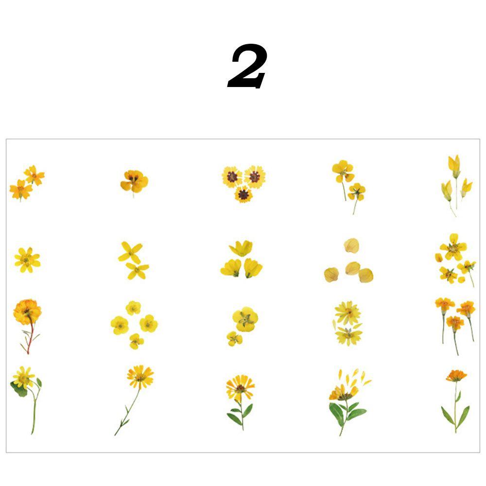 KENT Set 1/40 plant flower decoration sticker decoration notebook-shaped mosaic retro style