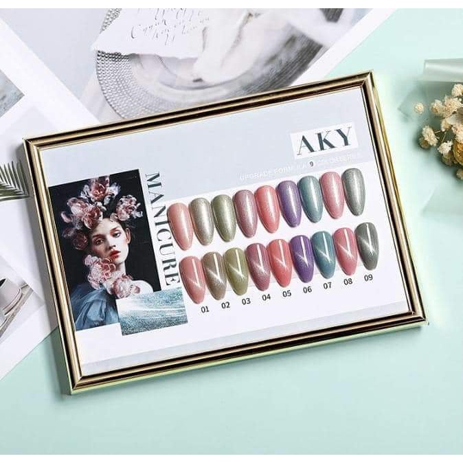 set sơn as mắt mèo chai đỏ 9 chai (mã aky)