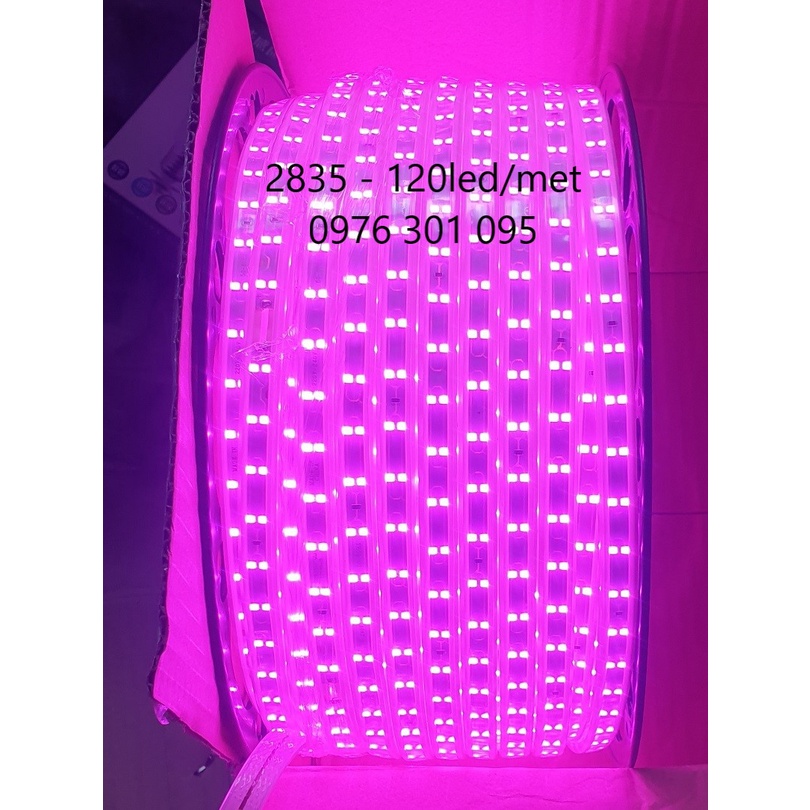 Dây Đèn Trang Trí Ngoài Trời 2835 Siêu Sáng Cao Cấp