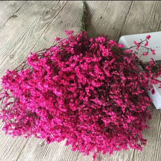 Hoa khô nhiều màu