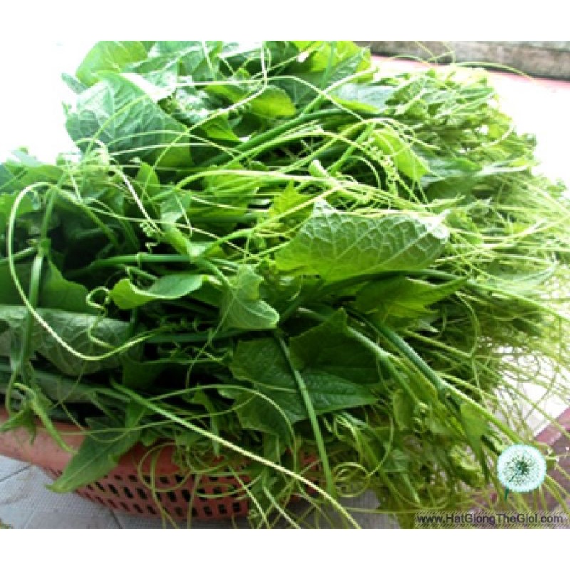 Chất Lượng Cao + Hạt giống bí siêu ngọn