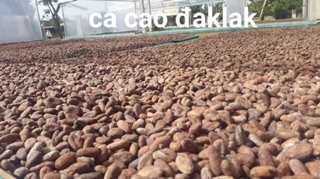 Bột cacao nguyên chất - LOẠI I