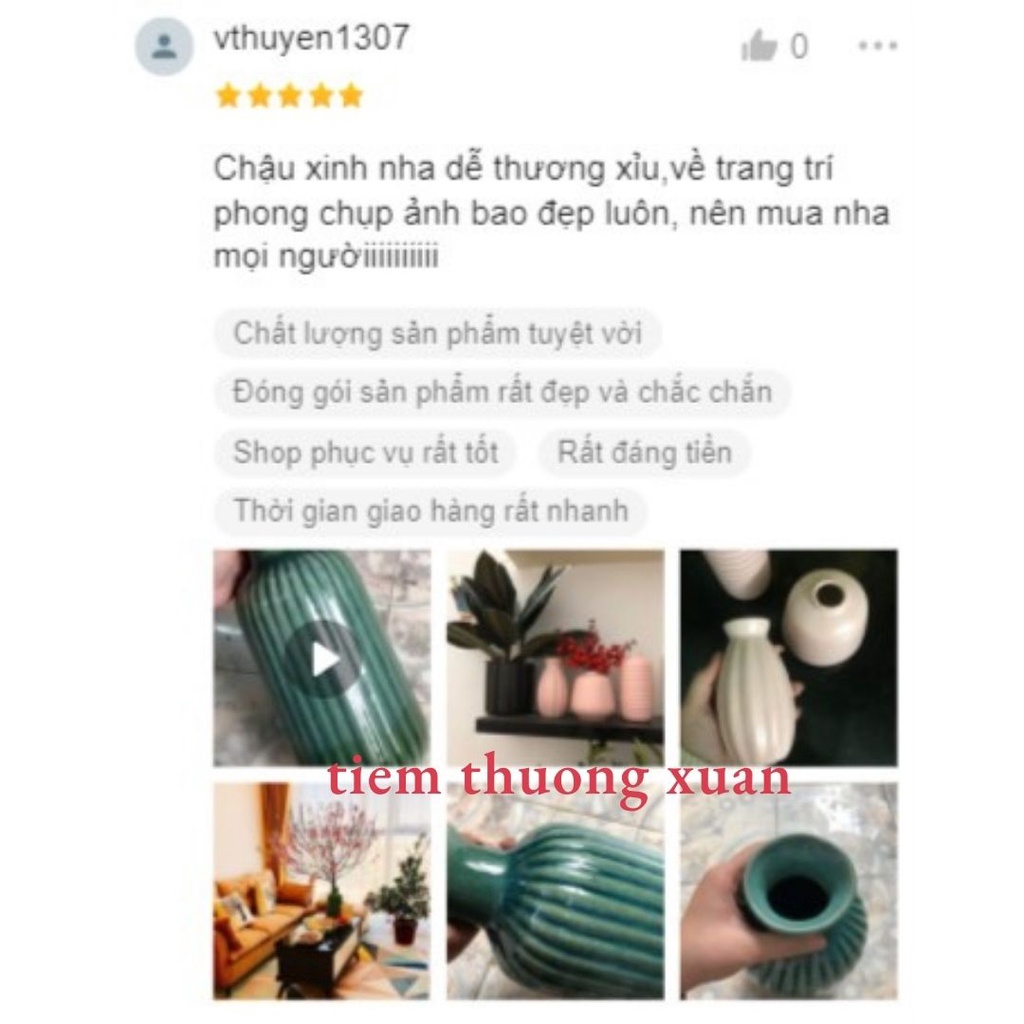 Bình hoa decor, trang trí văn phòng nhà cửa - Lọ hoa Tết cắm đào, tuyết mai