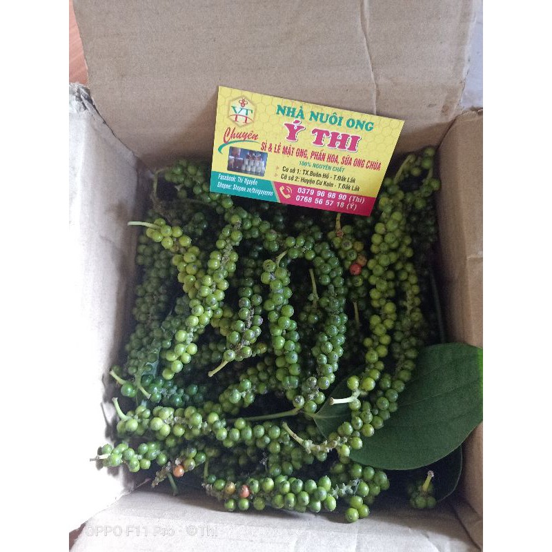 Sỉ 5kg tiêu xanh /tiêu khô nhà trồng Đắk Lắk chuẩn sạch