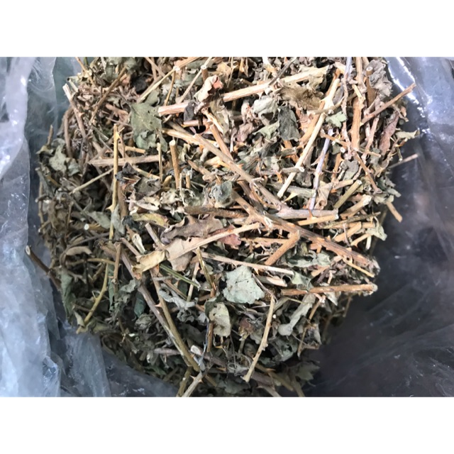 Combo xạ đen + cà gai leo