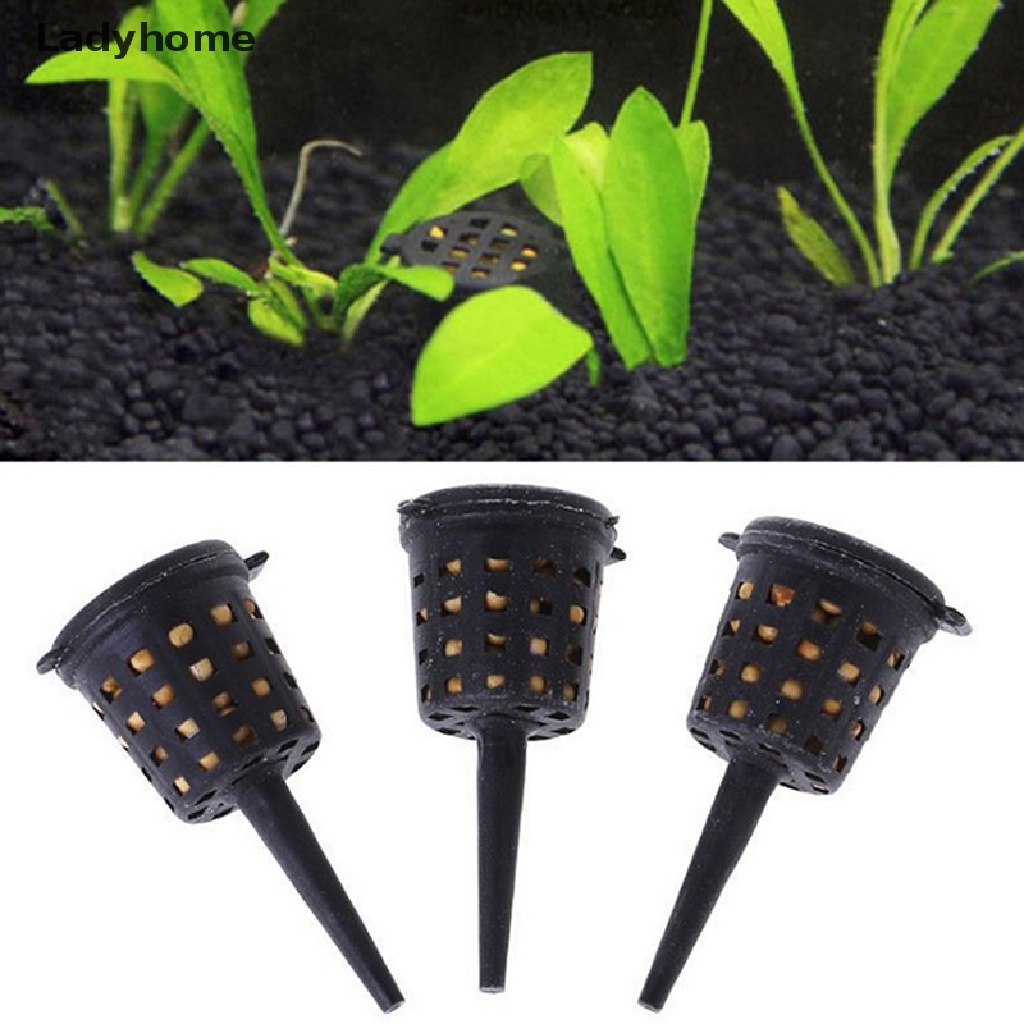 Set 50 Rổ Đựng Phân Bón Cây Cảnh Tiện Lợi