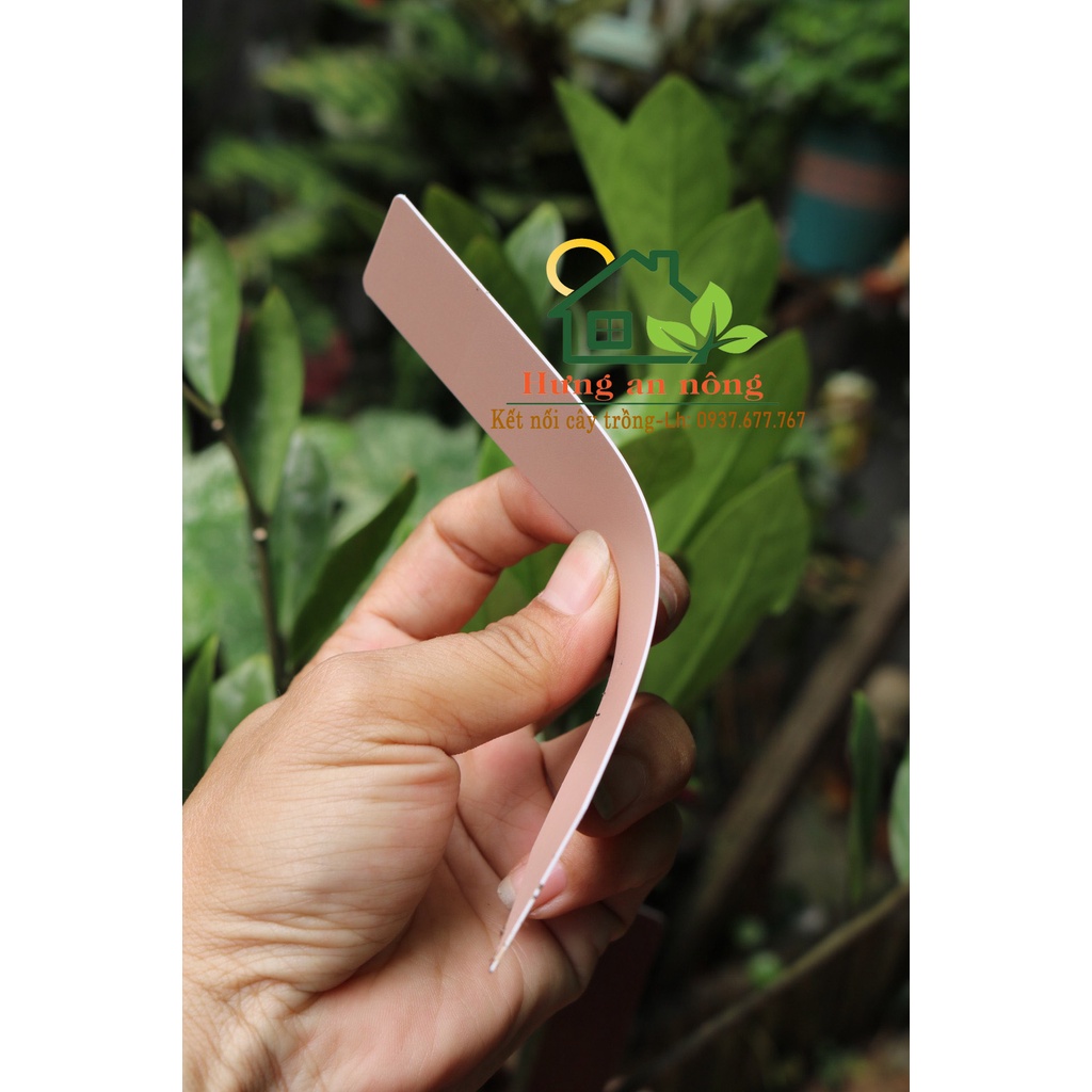 50/100 thẻ trụ cắm được dùng đánh dấu tên giống cây trồng size bản to 2.5x15cm