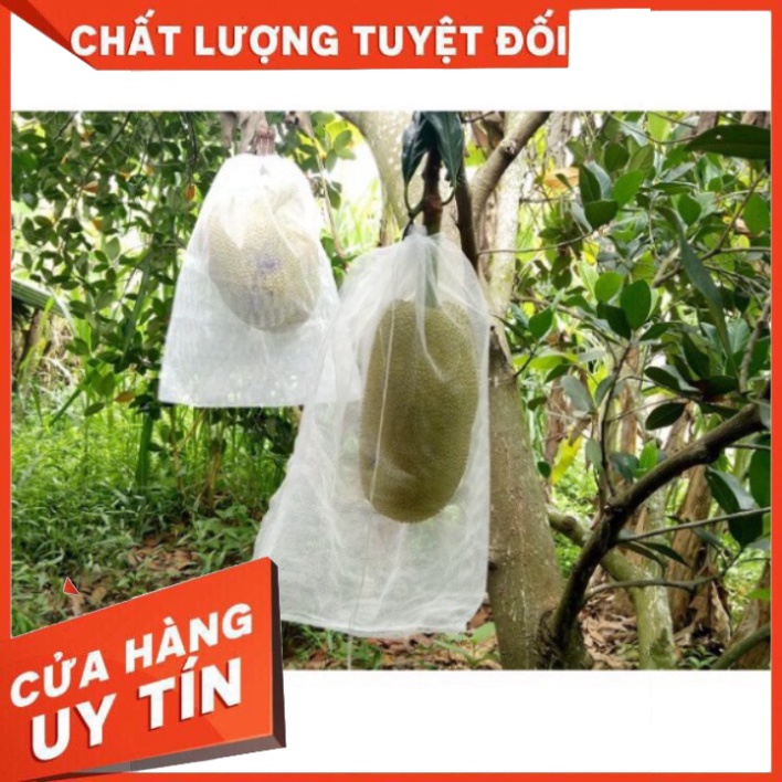 Túi Bao MÍt 50x70 - Quà hot - Nhà thuốc An Khang