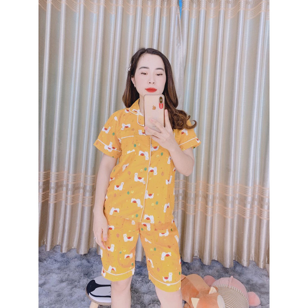 Bộ Pijama đẹp 🍍FREE SHIP🍍 Giảm 10K khi nhập [DOBO10k] Bộ quần áo mặc nhà nữ giá rẻ | BigBuy360 - bigbuy360.vn