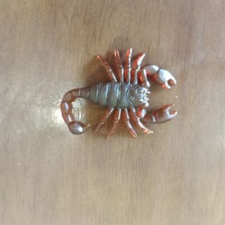 10 Con bò cạp giả/ mô hình trang trí hallowen