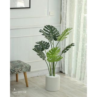 💥 Cây giả - Cây lá xẻ trang trí nhà ở, tiểu cảnh, ban công độc đáo (Các size 65cm, 90cm, 120cm, 85cm, 150cm)