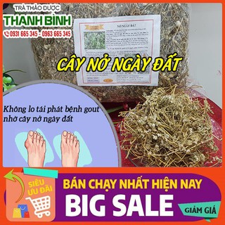Cây Nở Ngày Đất 500Gr - Loại 1 Hàng CTY - Dược Liệu Thanh Bình