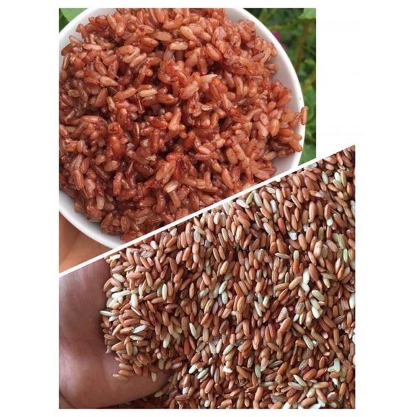 GẠO LỨT ĐỎ DẺO ĐIỆN BIÊN 1kg