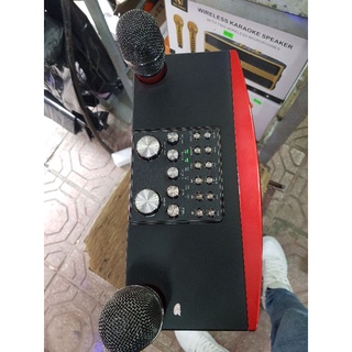 Loa kraoke mini YS-201