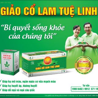 TRÀ GIẢO CỔ LAM TUỆ LINH