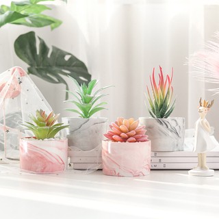 Chậu hoa sen đá để bàn thiết kế sáng tạo