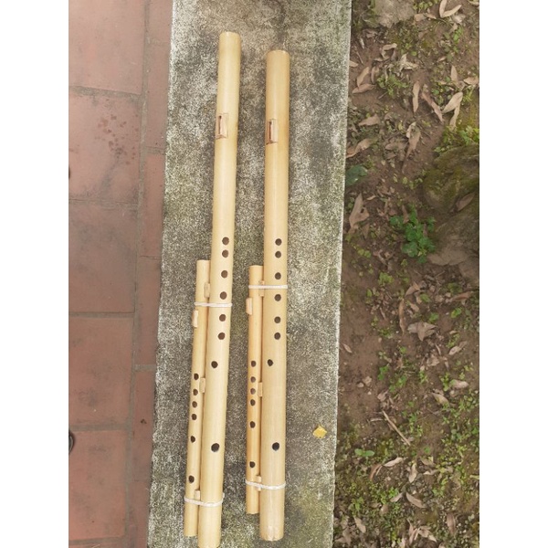 Sáo Mèo Kép Việt Tone Đô