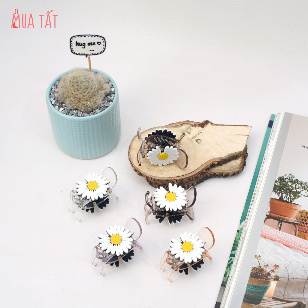 Kẹp tóc càng cua 3 răng, 5 răng Mua Tất hình hoa cúc trắng (muatatshop)