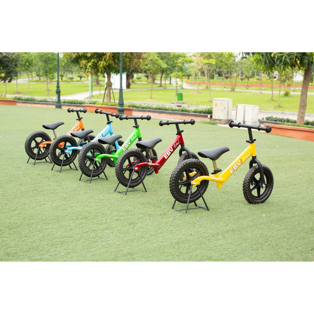 Xe thăng bằng EBV Pro