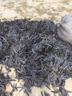 Quả bồ kết ta 1kg/159k
