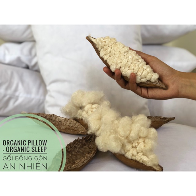 Ruột gối bông gòn tự nhiên PIL57