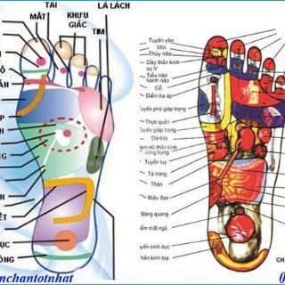 Combo 12 hộp thuốc ngâm chân thảo dược