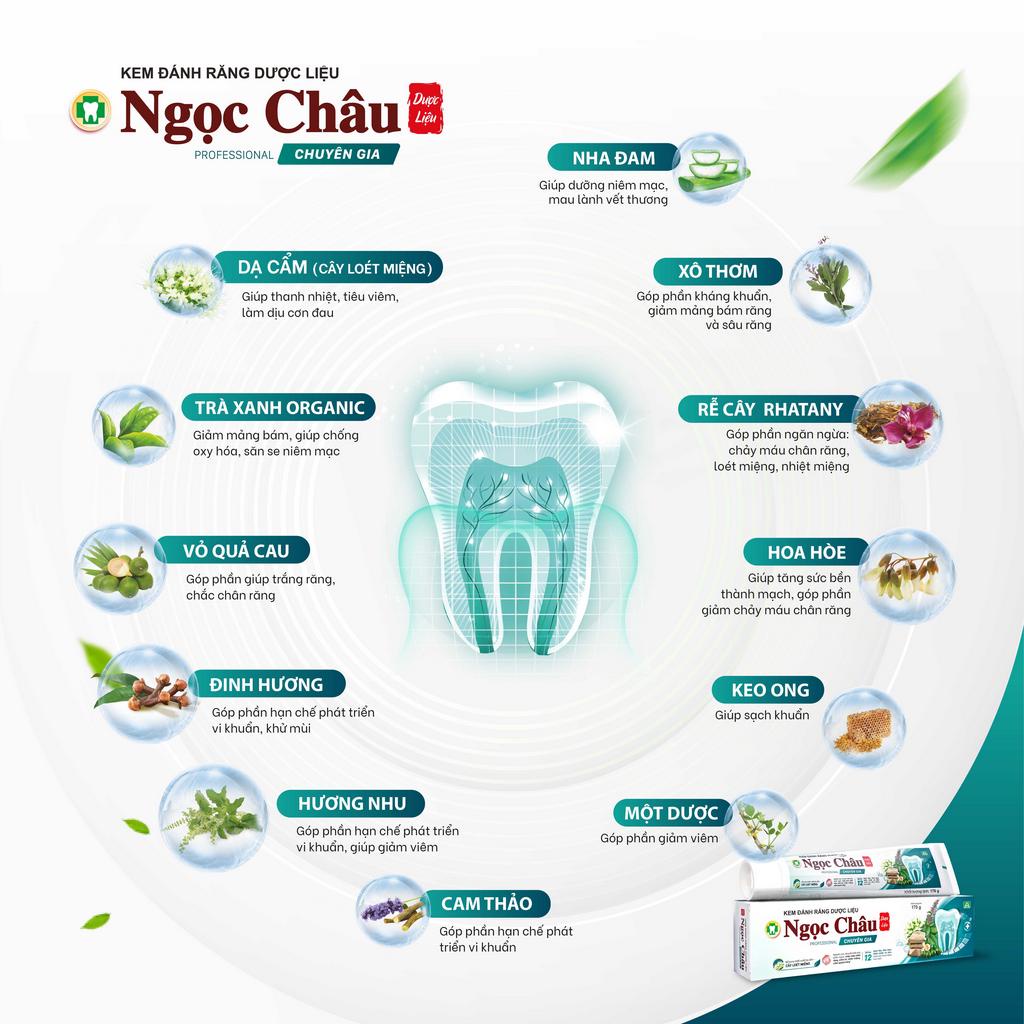 Kem đánh răng dược liệu Ngọc Châu Chuyên Gia 170g