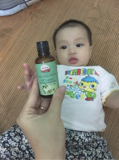 Tinh dầu tràm huế