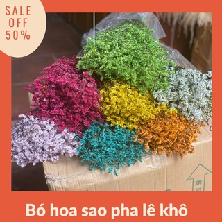 Hoa Sao pha lê ❤️trang trí nhà cửa , hoa cắm lọ , phụ kiện làm hoa, decor