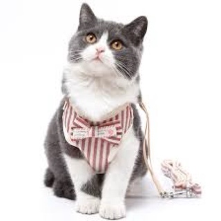 [LXPET] Dây dắt kèm áo yếm cho chó mèo
