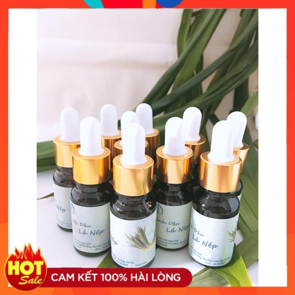 Combo 03 Lọ Tinh dầu Lá Nếp 10ml