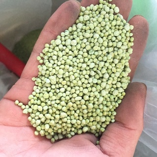 Phân NPK Chuyên Dụng Cho Hoa Và Cây,Cung Cấp Dưỡng Chất Giúp Cây Xanh Đẹp,Phát Triển Nhanh (ĐÓNG TÚI 100,200G)