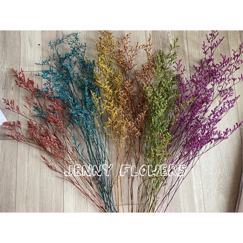 Hoa sao đuôi công khô, sao tình nhân - Hoa khô trang trí, decor